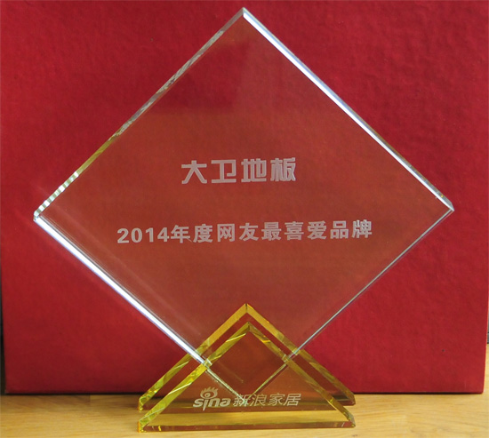 大衛(wèi)地板被授予“2014年度網友最喜愛品牌”殊榮.jpg